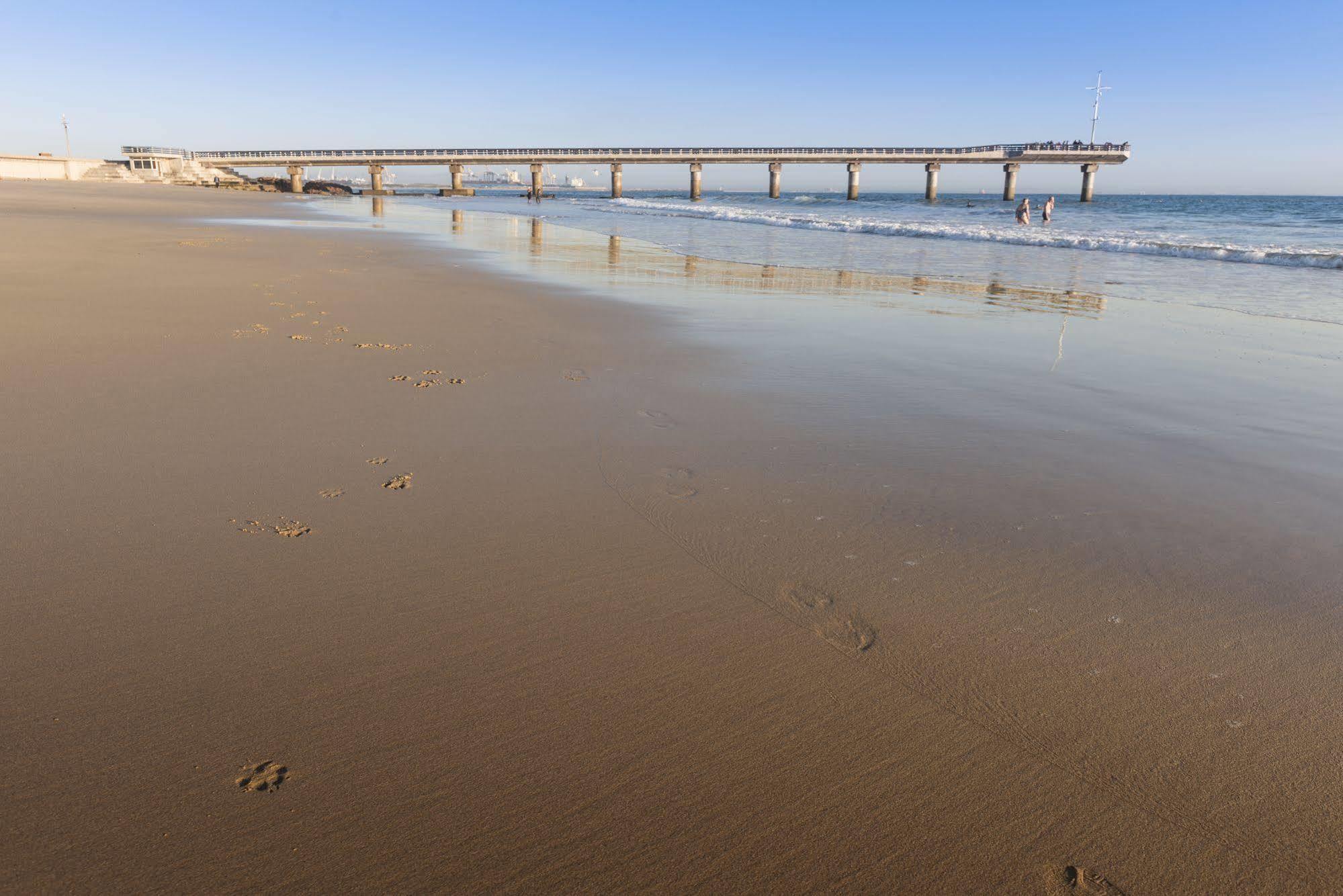 Beachwalk Bed And Breakfast - #Solar Energy #No Loadshedding Port Elizabeth Ngoại thất bức ảnh